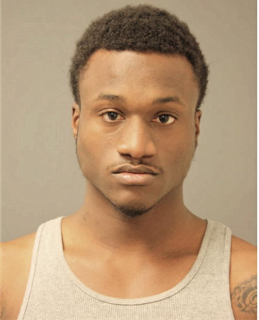 SAMUEL L LEWIS, Cook County, Illinois
