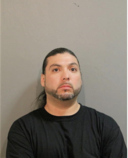 MARTINE MANZANALES, Cook County, Illinois
