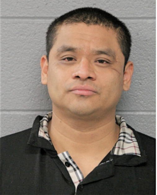 REYNALDO MENDOZA, Cook County, Illinois