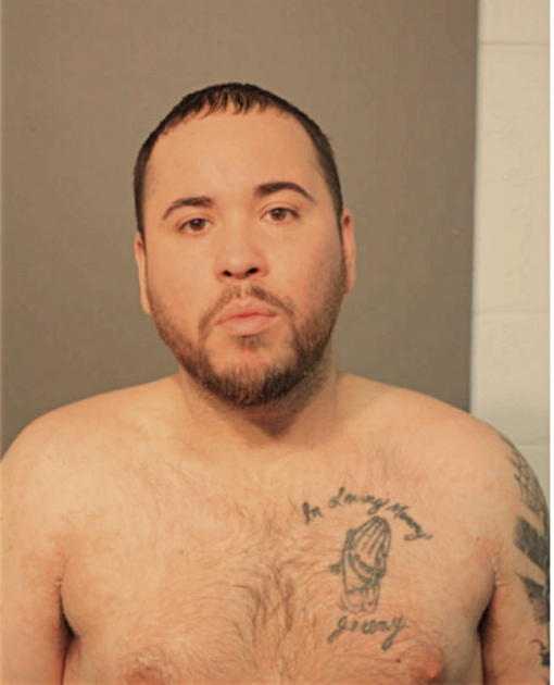 WILLIAM N NAVARRO, Cook County, Illinois