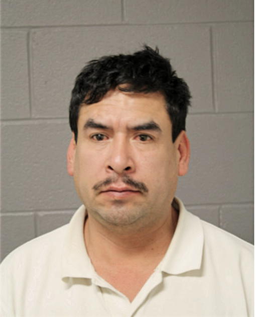 ABEL C NUNEZ, Cook County, Illinois