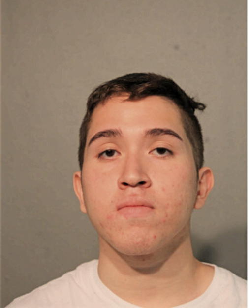 WILL E RODRIGUEZ, Cook County, Illinois