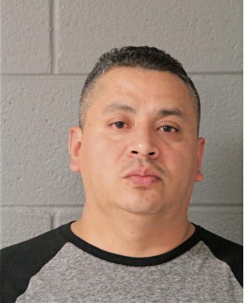 RENE R SANGABUJEL, Cook County, Illinois