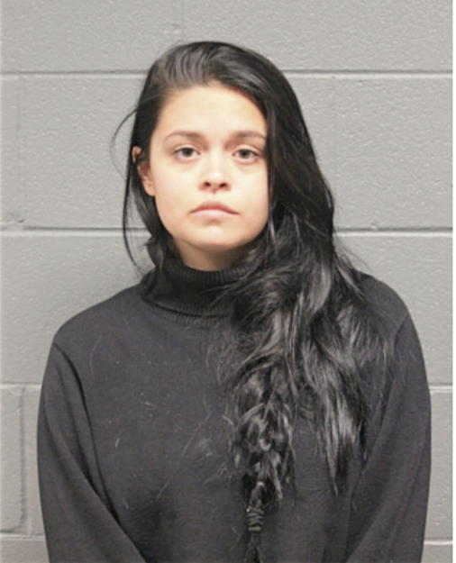 TAELOR RAE SCHERMANN, Cook County, Illinois