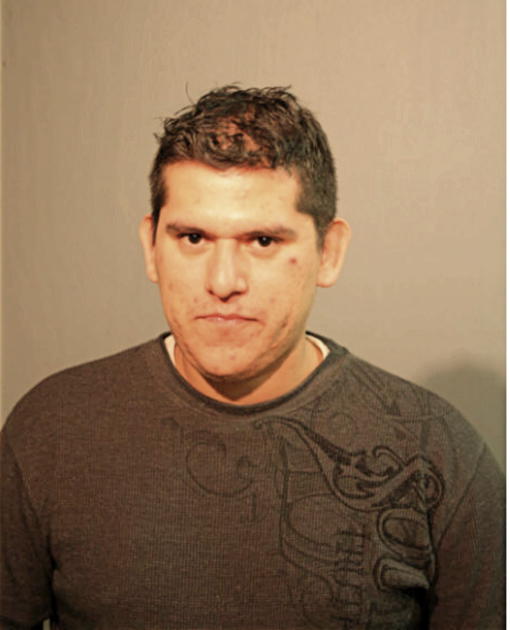 VICTOR H VILLEGAS-MIRANDA, Cook County, Illinois