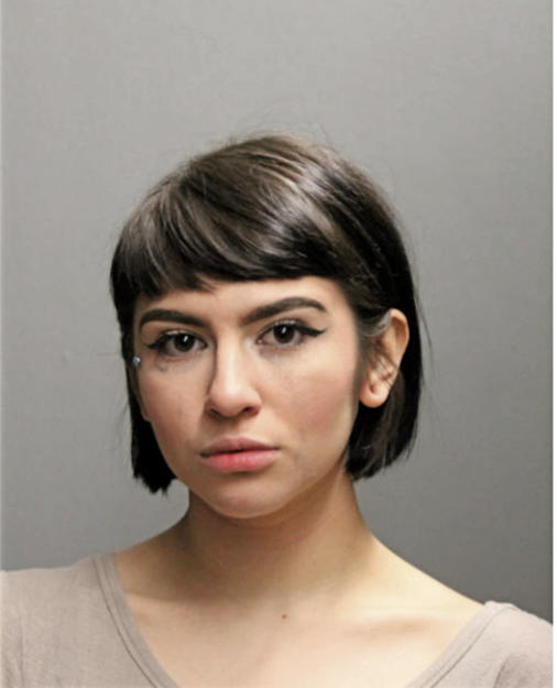 HANNAH J WILLIAMS, Cook County, Illinois