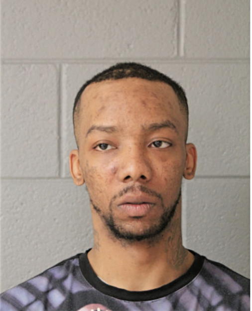 JAMES E WILLIAMS, Cook County, Illinois