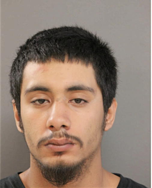 VICTOR A ALMARAZ, Cook County, Illinois
