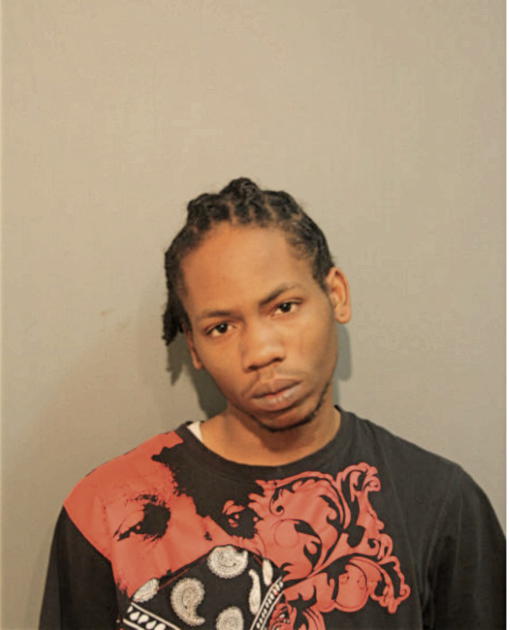 TYREESE B ANDERSON, Cook County, Illinois
