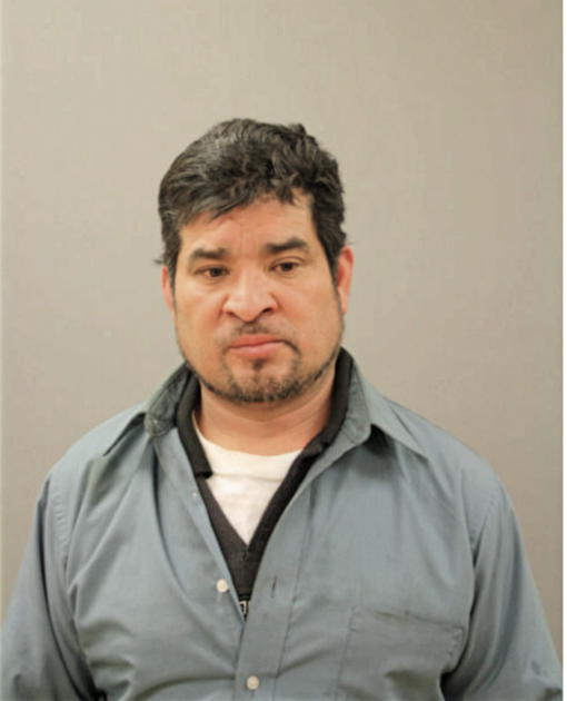 DOMINGO BOLLAS, Cook County, Illinois