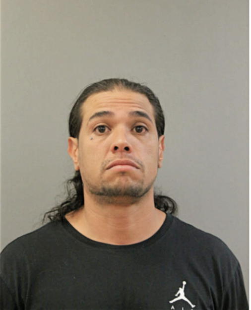 ENRIQUE J BORJON, Cook County, Illinois