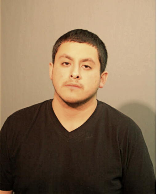 MICHAEL A CAMARENA, Cook County, Illinois