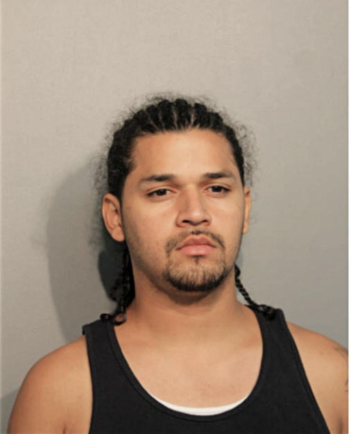 RICHARD A CASSASOLA, Cook County, Illinois