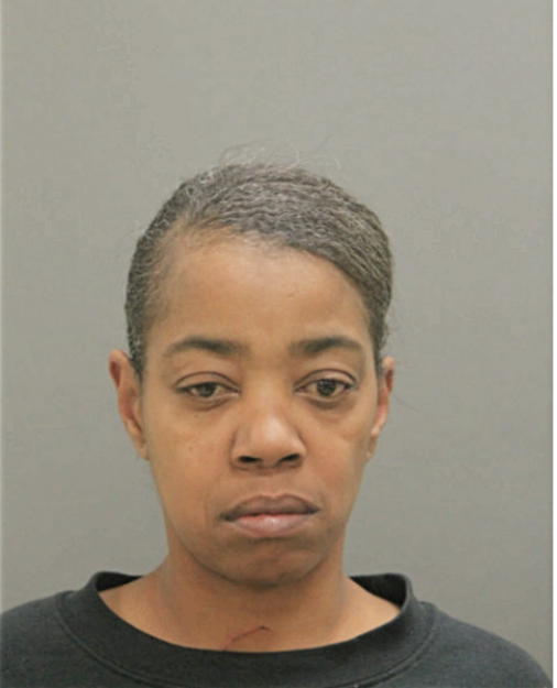 STEPHANIE J CLEVELAND, Cook County, Illinois