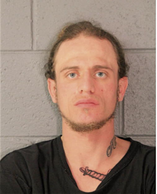 MICHAEL A GALLARDO, Cook County, Illinois