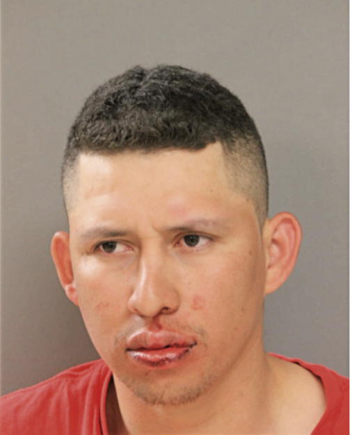 EDWIN R GARCIA-LOPEZ, Cook County, Illinois