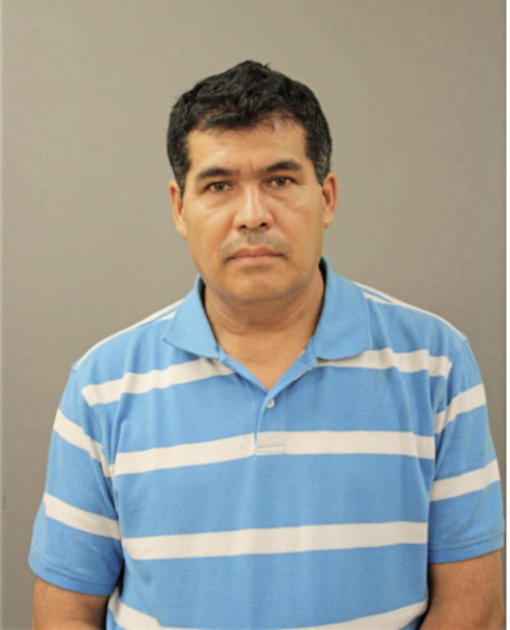 VEDEL GARIN, Cook County, Illinois