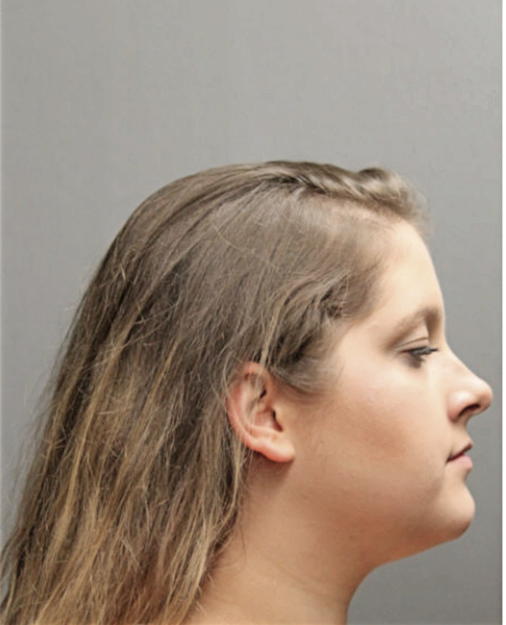 AMRA HADZIC, Cook County, Illinois
