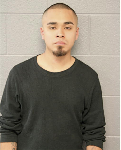 DIEGO HERNANDEZ, Cook County, Illinois