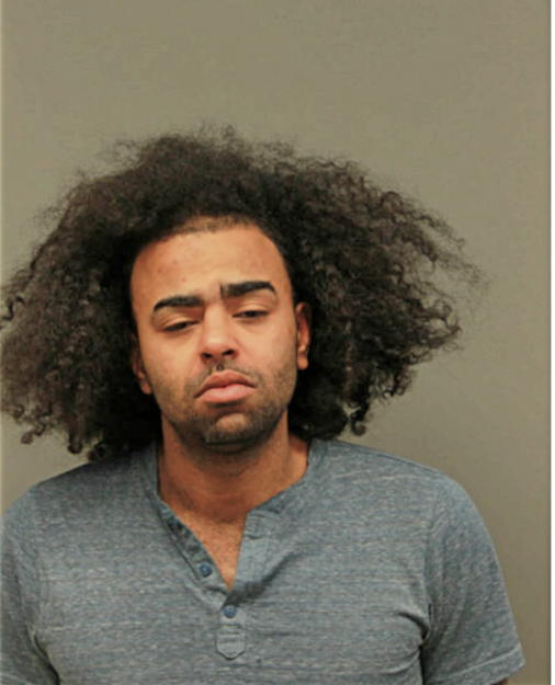 SIDDHARTA L NEAL, Cook County, Illinois