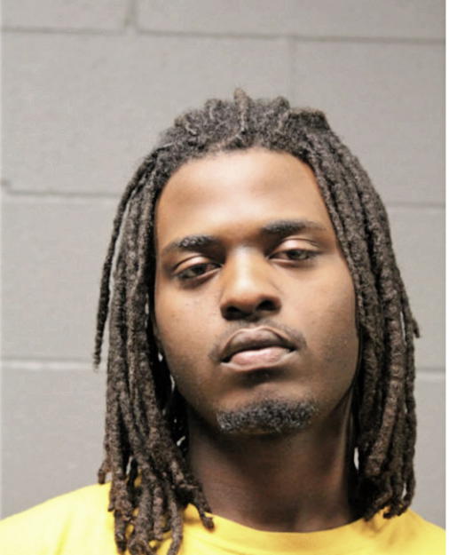 JAMES M STEVENSON, Cook County, Illinois