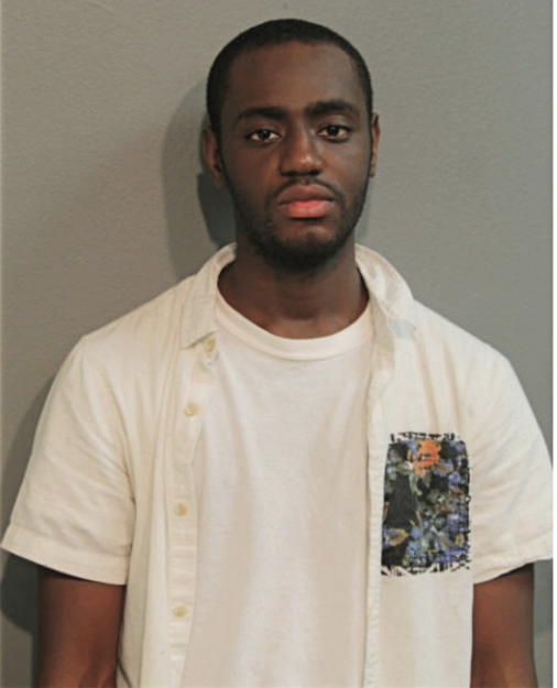 YVES F THEODULE, Cook County, Illinois