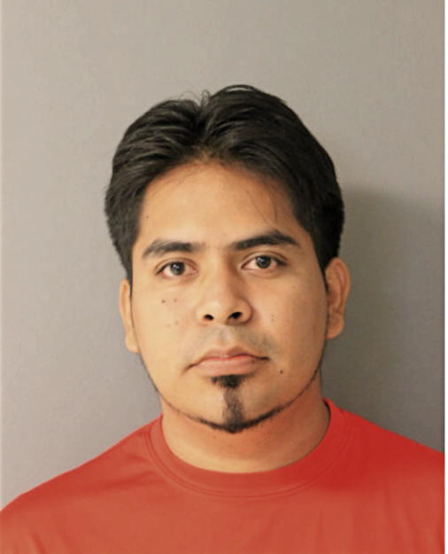 ALVARO TORRES, Cook County, Illinois