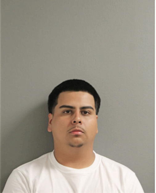 JOSE S ALMANZA, Cook County, Illinois