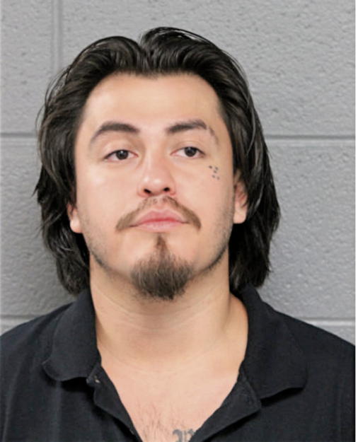 ARGENIS A ALMARAZ, Cook County, Illinois