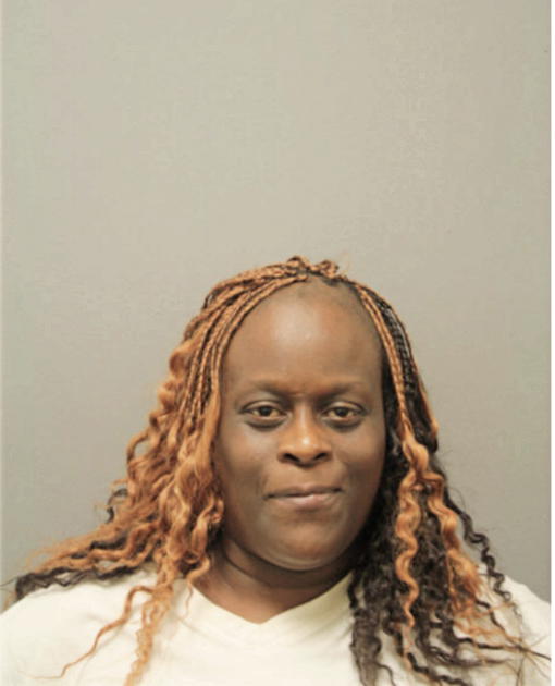 STACY J ANDERSON, Cook County, Illinois
