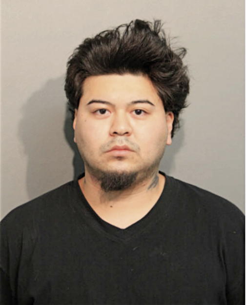 ELIO D ARRECIS, Cook County, Illinois