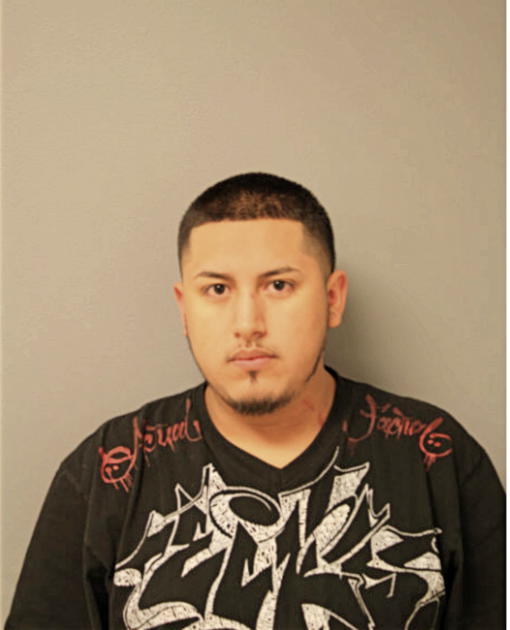 ADAEL AVELAR, Cook County, Illinois