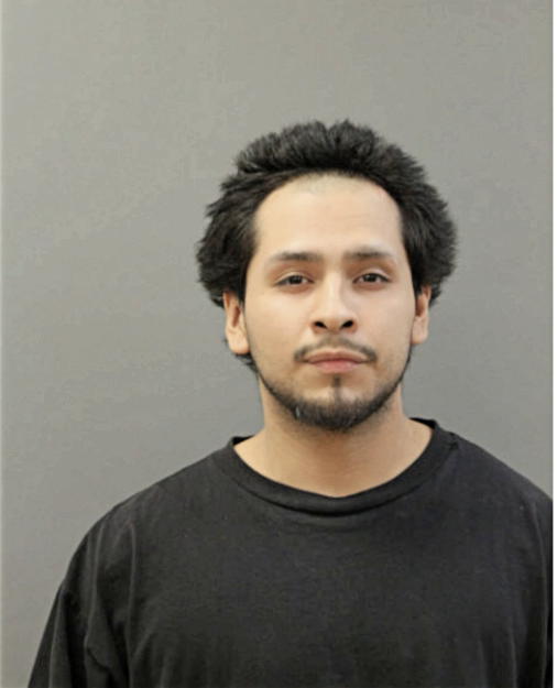 ULISSES BATREZ, Cook County, Illinois