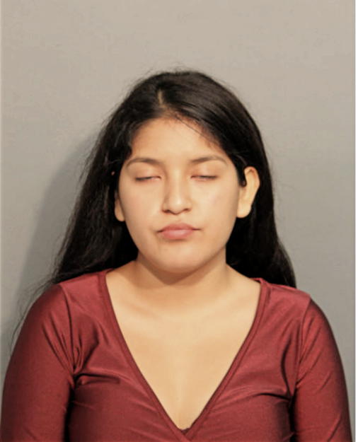 SALMA B BRAVO LEMA, Cook County, Illinois