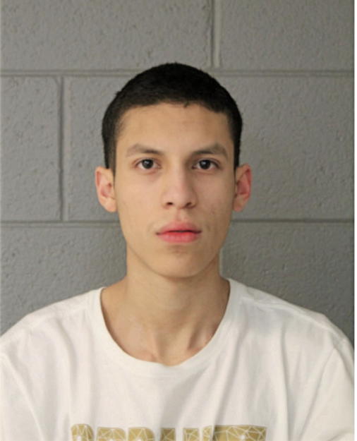 CRISTIAN COVARRUBIAS, Cook County, Illinois