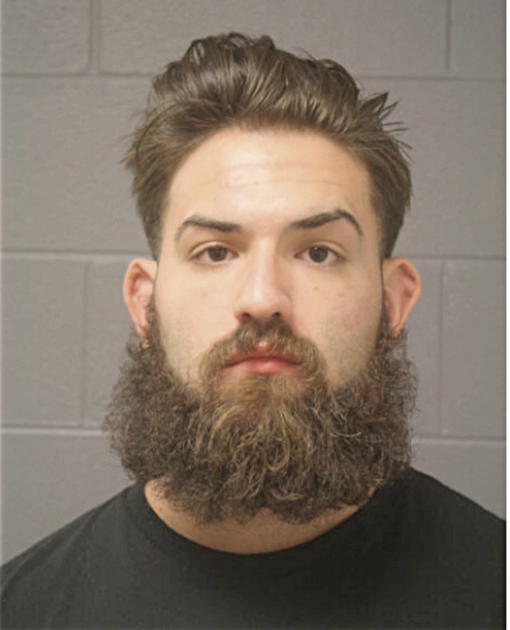 GUY G ELSBERG, Cook County, Illinois