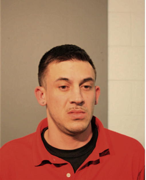 SHANE M FINN, Cook County, Illinois