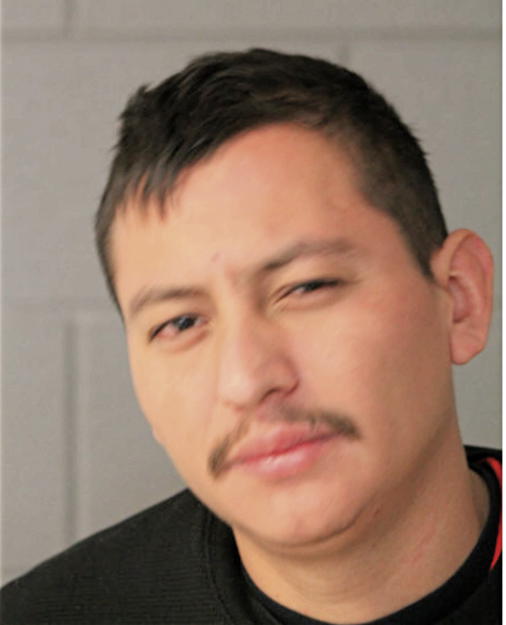 J CARMEN FUENTES, Cook County, Illinois