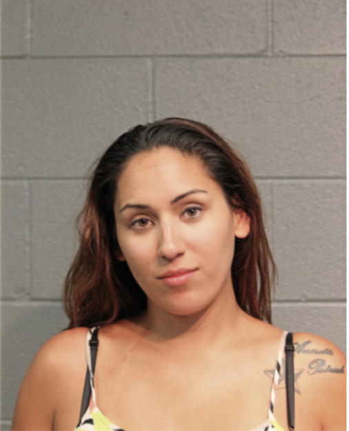 STEPHANIE K GARY, Cook County, Illinois