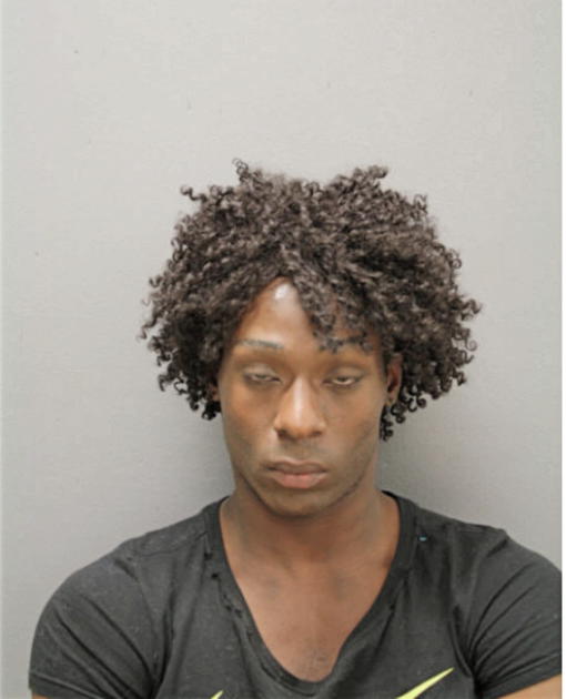 SAMUEL D HIGGINS, Cook County, Illinois