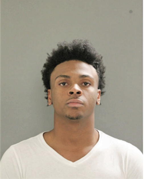 WILLIAM M LEWIS, Cook County, Illinois