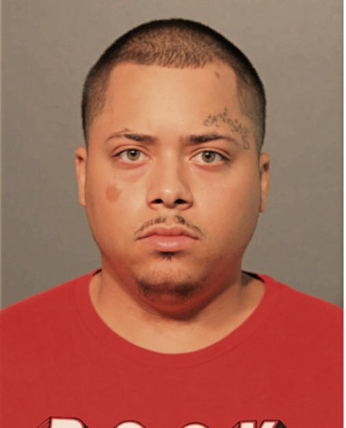 LUIS ENRIQUE MEDINA, Cook County, Illinois