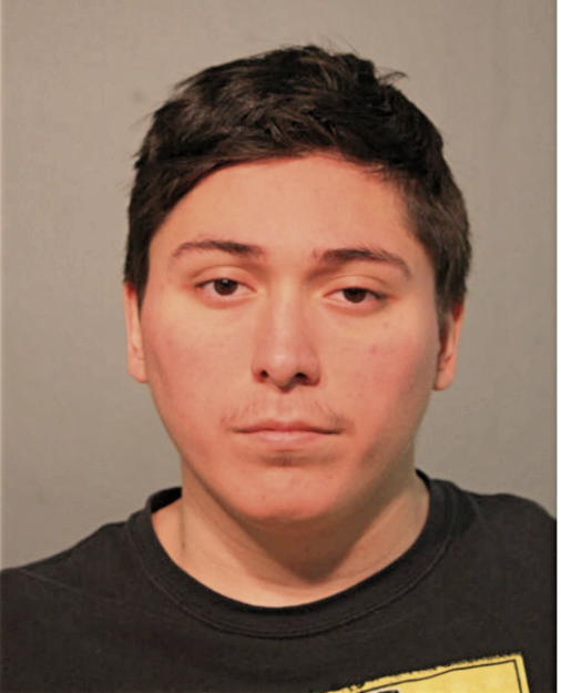 MARIO MENDOZA, Cook County, Illinois