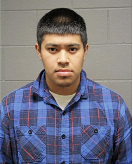 ALEX S MENDOZA-ORTIZ, Cook County, Illinois