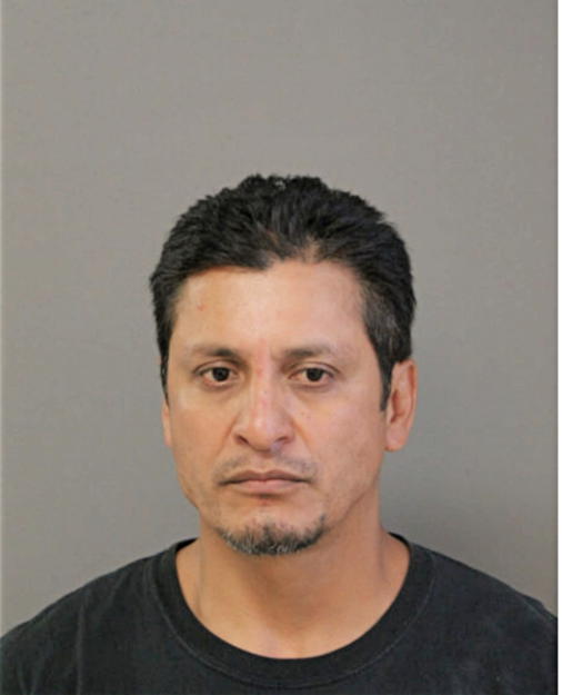 VICTOR L ORTIZ, Cook County, Illinois
