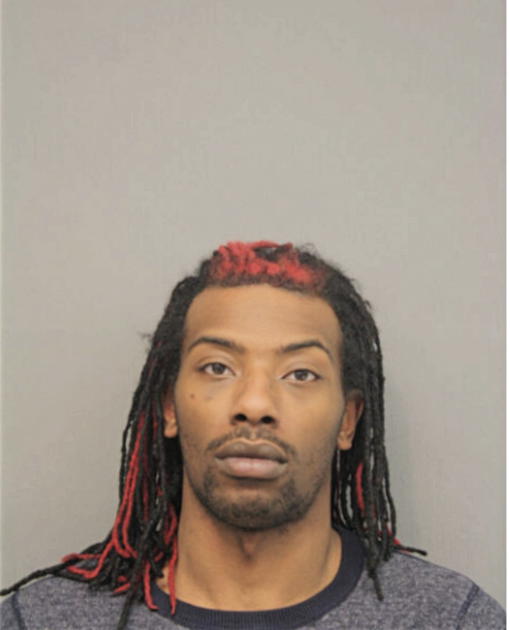 ANDREW D OWENS, Cook County, Illinois