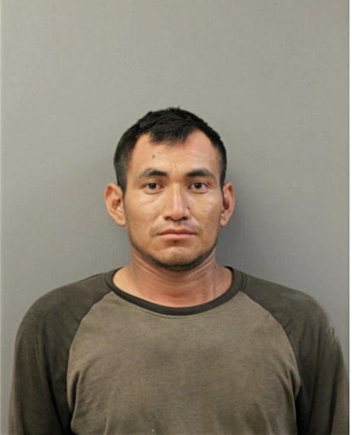 ELIHE RAMOS-BAUTISTA, Cook County, Illinois