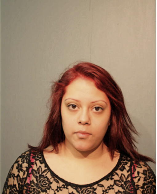 ERANDY SANCHEZ, Cook County, Illinois