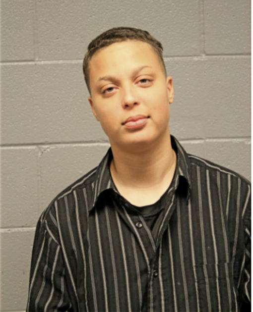 ANITA M SIMS, Cook County, Illinois