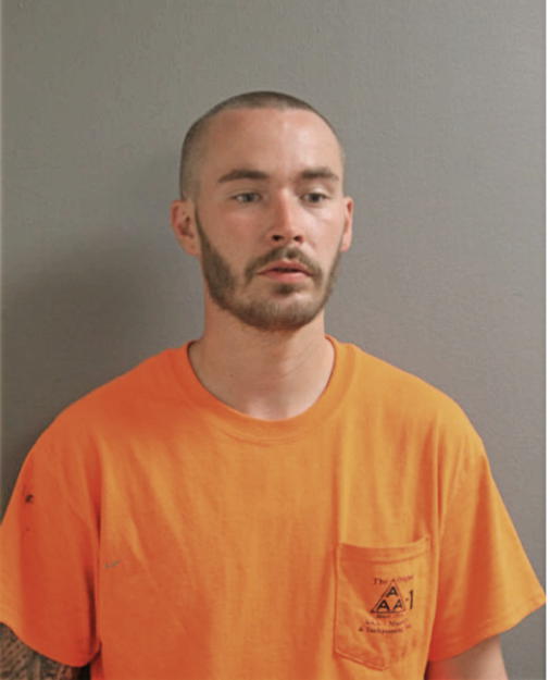 RYAN F TAYLOR, Cook County, Illinois